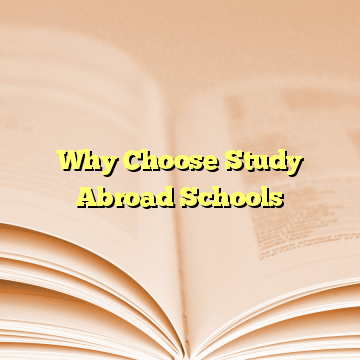Why Choose Study Abroad Schools
