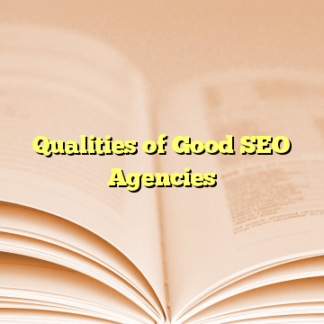 Qualities of Good SEO Agencies